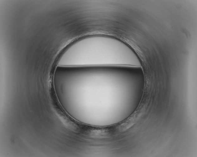 X0000112170160200908071006