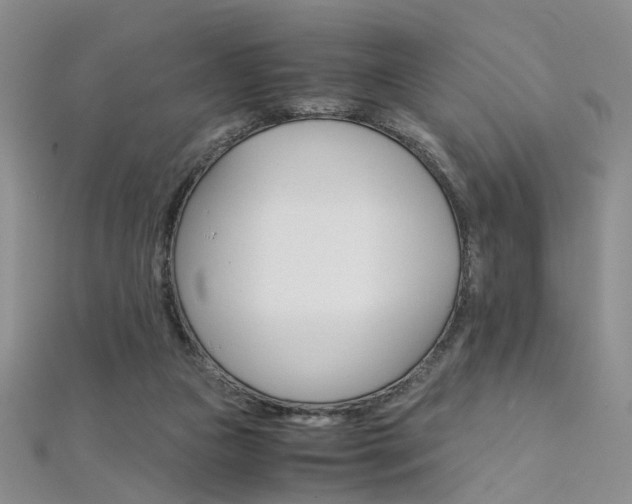 X0000112170161200908071006