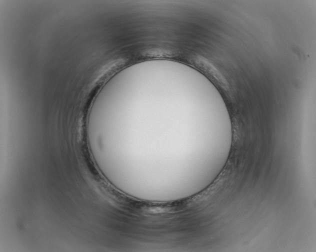 X0000112170163200908071006