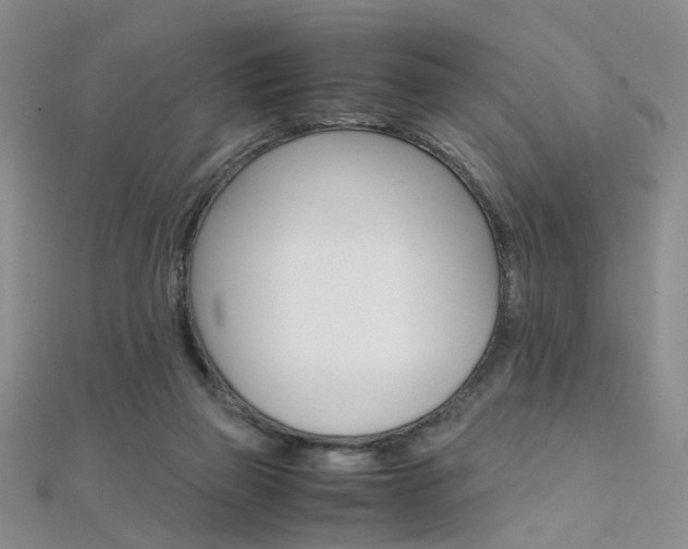 X0000112170165200908071006