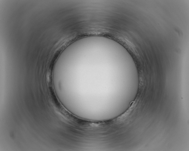 X0000112170166200908071006