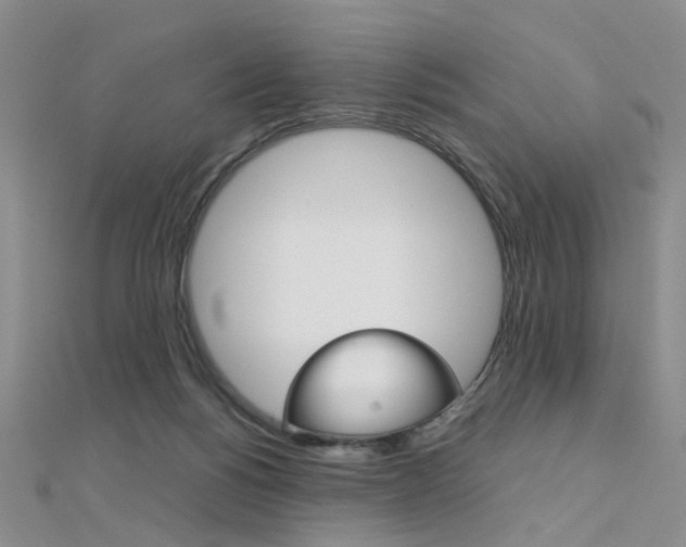 X0000112170168200908071007