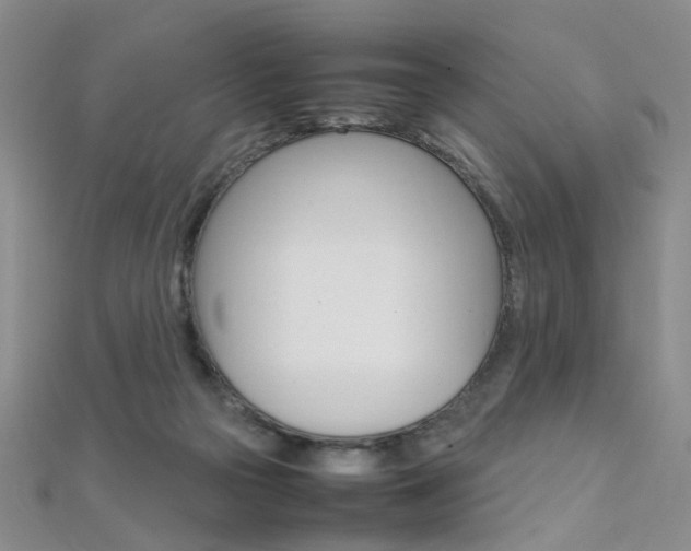 X0000112170169200908071007