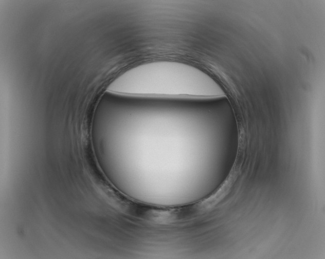 X0000112170170200908071007