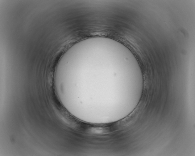 X0000112170171200908071007