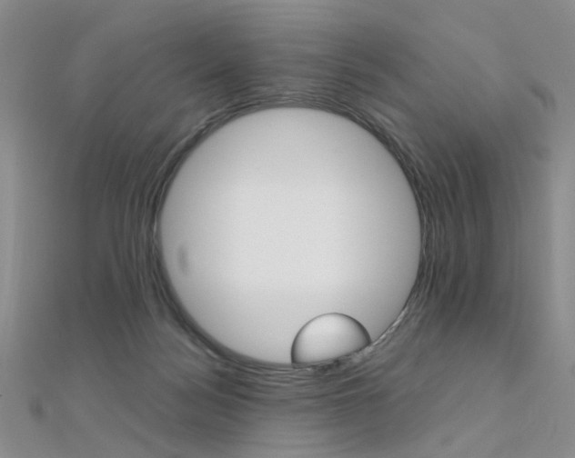 X0000112170172200908071007