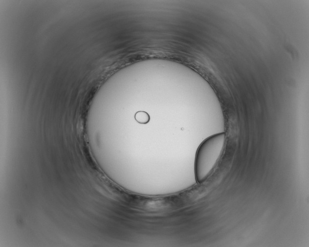 X0000112170173200908071007