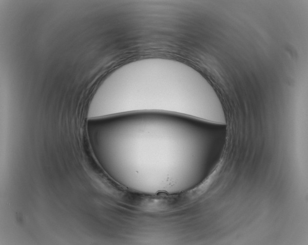 X0000112170174200908071007