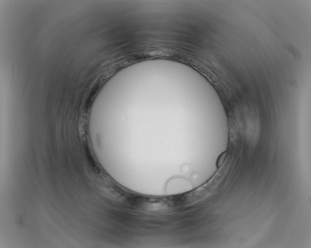 X0000112170175200908071007