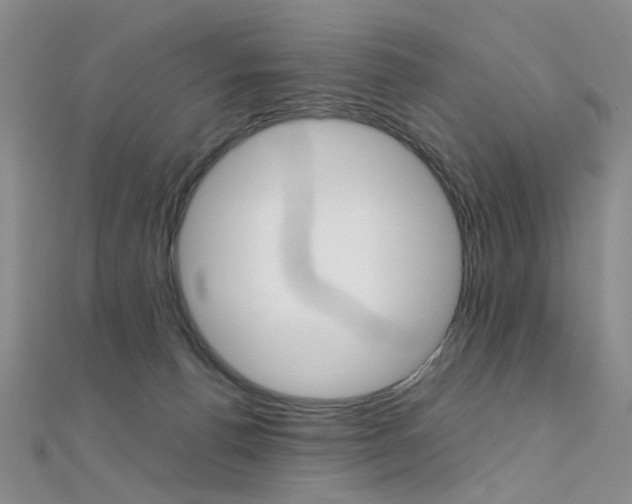 X0000112170176200908071007