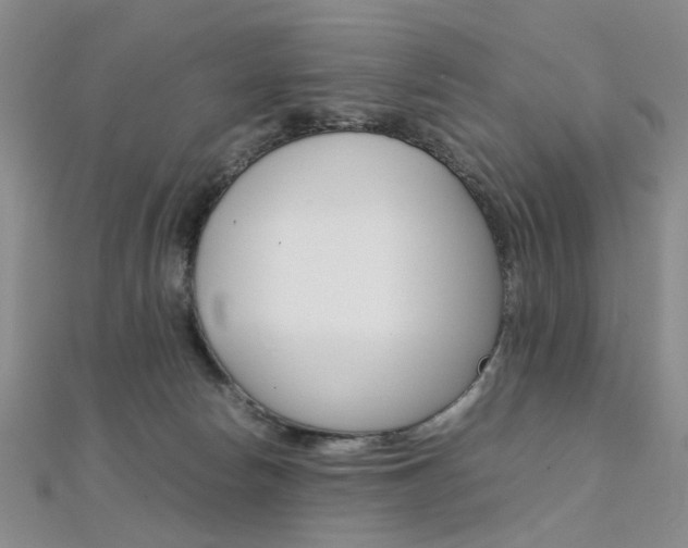 X0000112170178200908071007