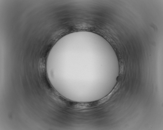 X0000112170179200908071007