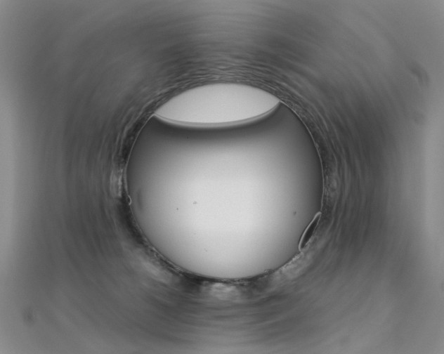 X0000112170180200908071007