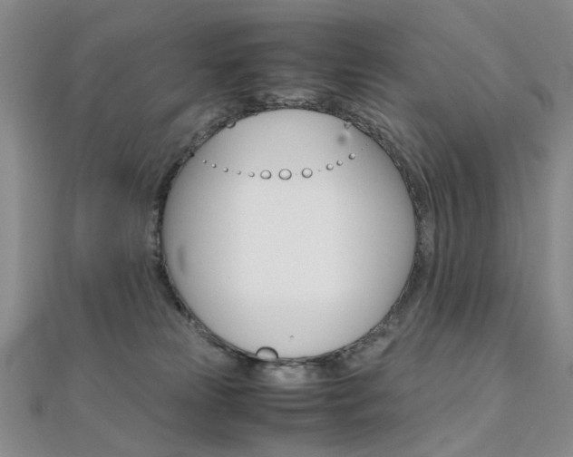 X0000112170181200908071007