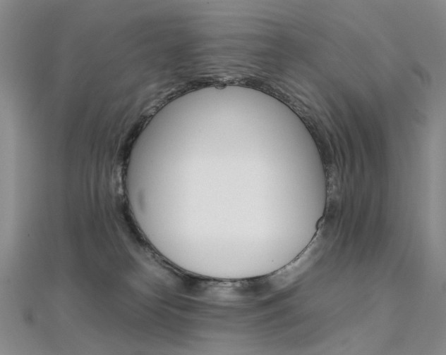 X0000112170182200908071007