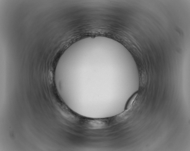 X0000112170183200908071007