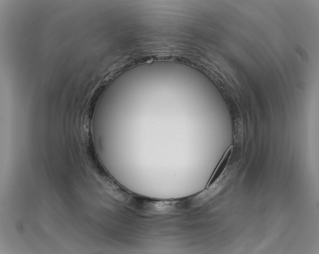 X0000112170184200908071007