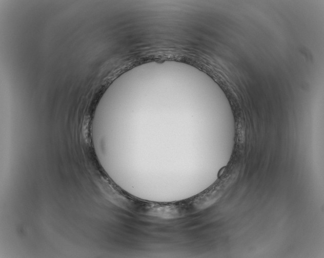 X0000112170185200908071007