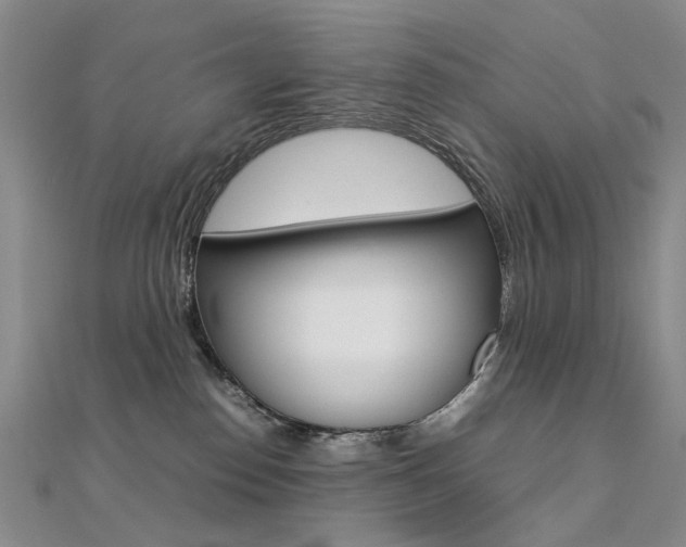 X0000112170186200908071007