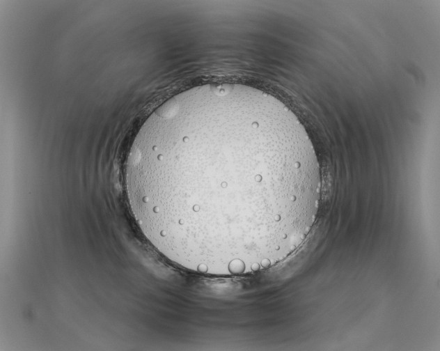 X0000112170187200908071007