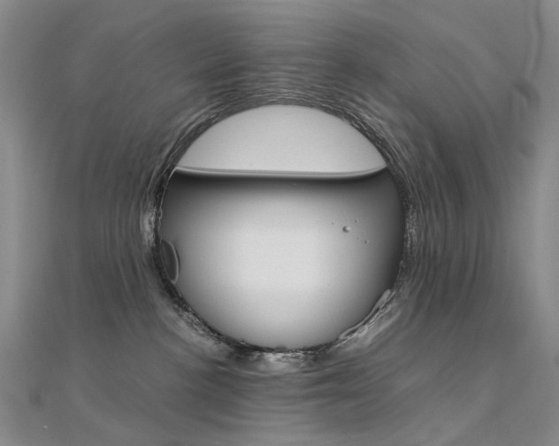 X0000112170188200908071007