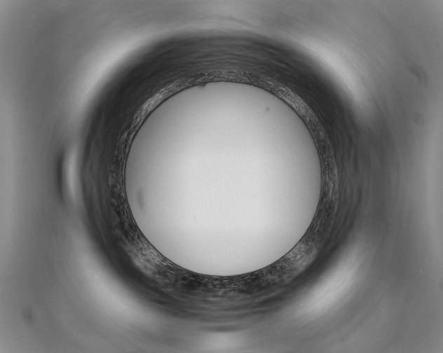 X0000112170189200908071007