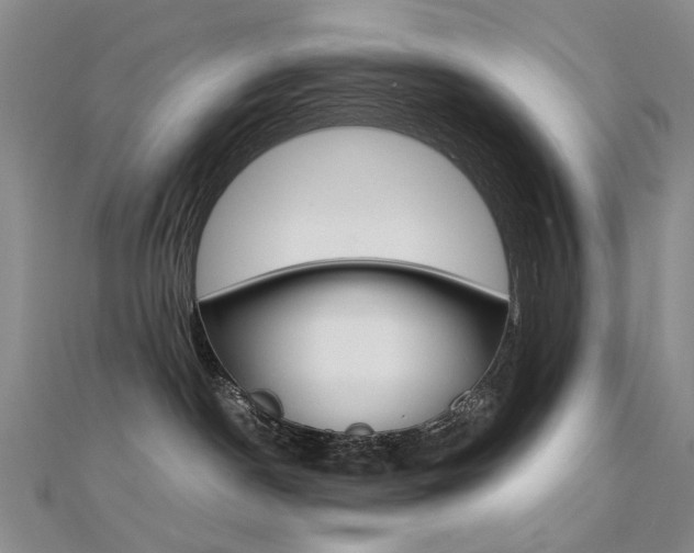 X0000112170190200908071007