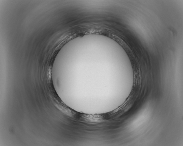 X0000112170191200908071007