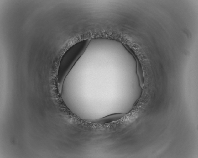 X0000112170192200908071007