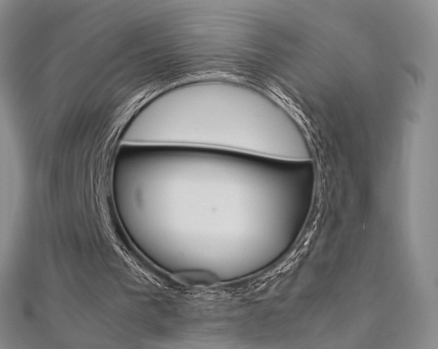 X0000112170193200908071006