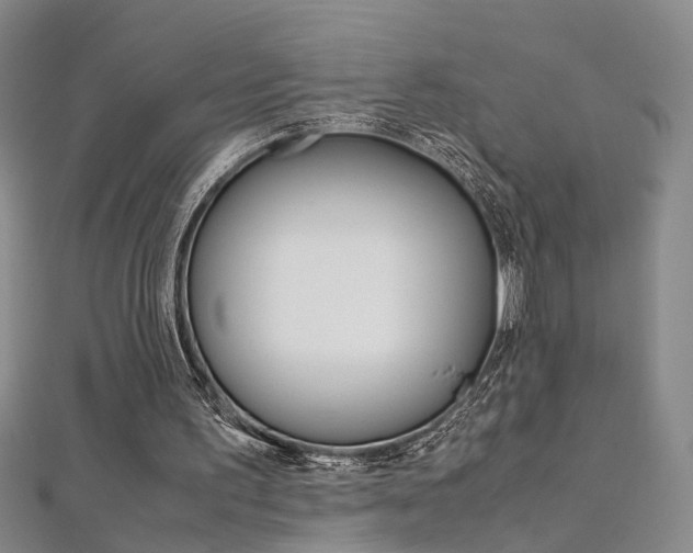 X0000112170195200908071006