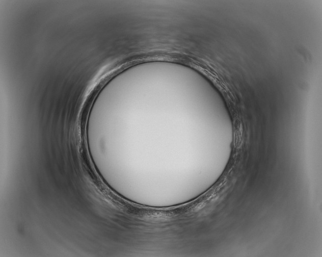 X0000112170198200908071006