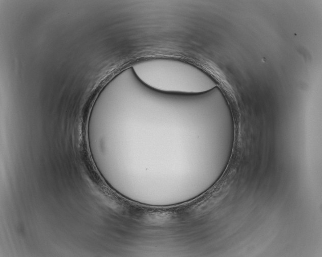X0000112170202200908071006