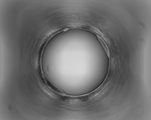 X0000112170203200908071006