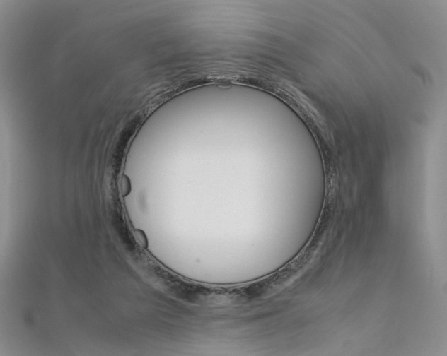 X0000112170209200908071006