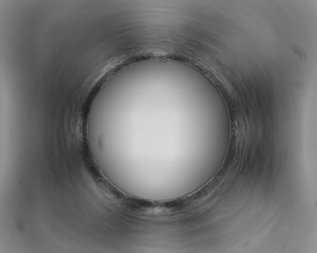 X0000112170212200908071006