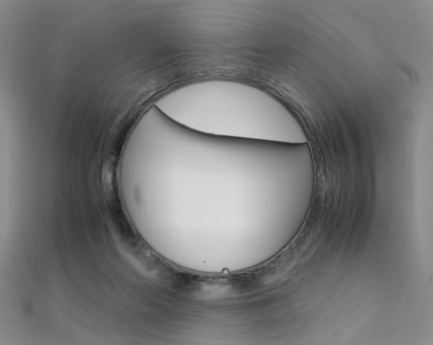 X0000112170214200908071006
