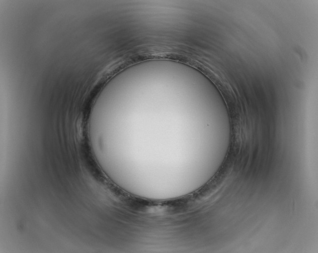 X0000112170216200908071006