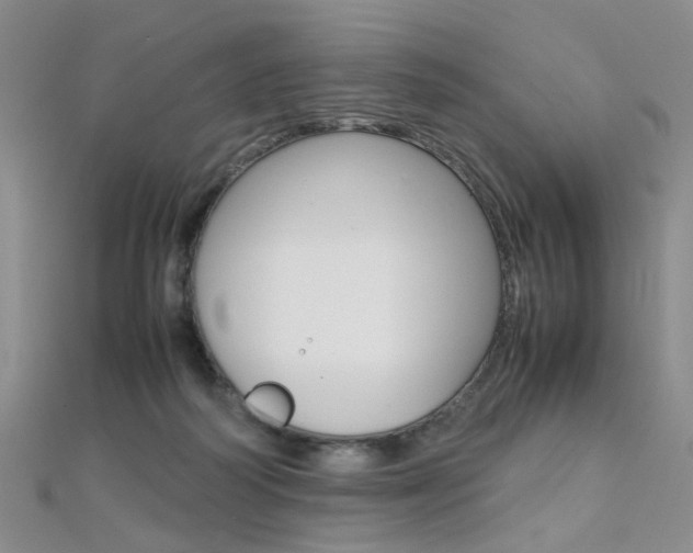 X0000112170218200908071006