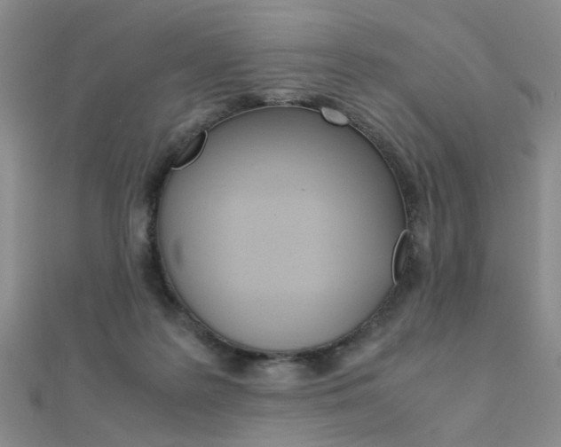 X0000112170219200908071006