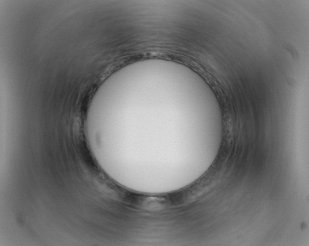 X0000112170222200908071006