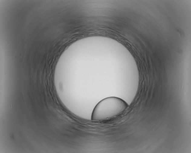 X0000112170223200908071006