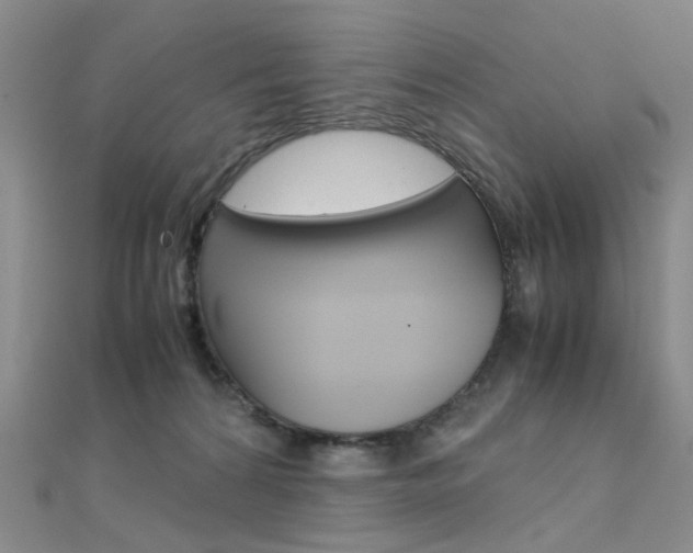 X0000112170224200908071006