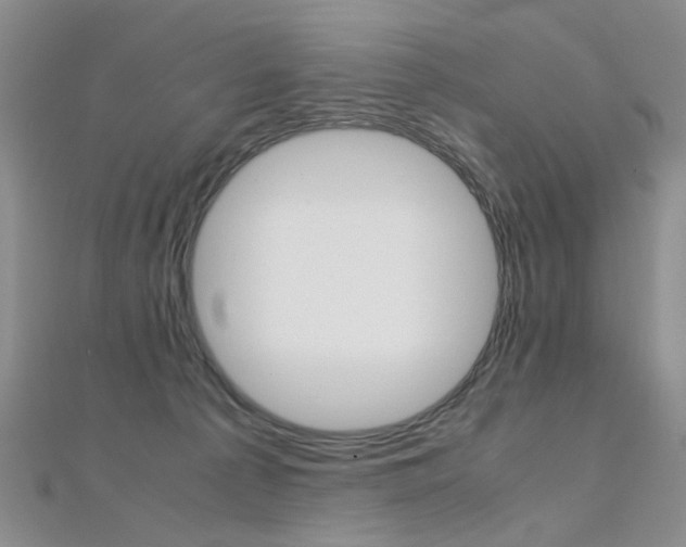 X0000112170225200908071006