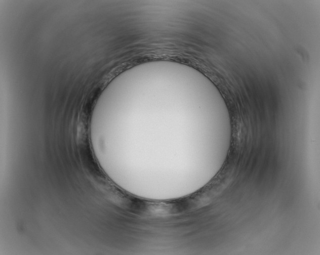 X0000112170226200908071006