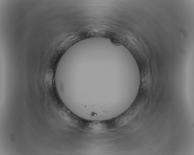 X0000112170231200908071006