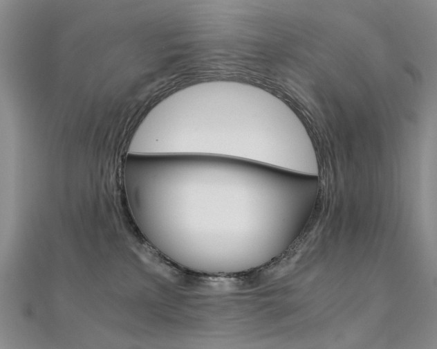 X0000112170233200908071006