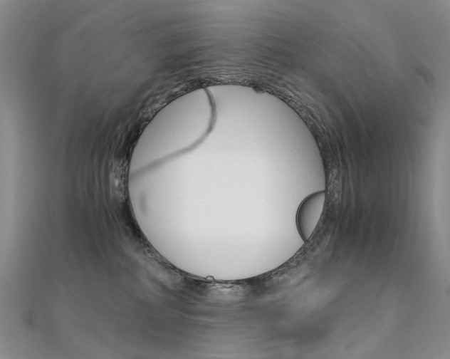 X0000112170234200908071006