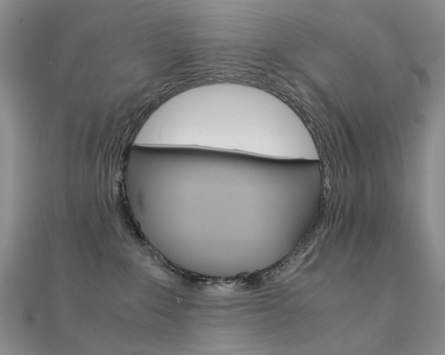 X0000112170235200908071006