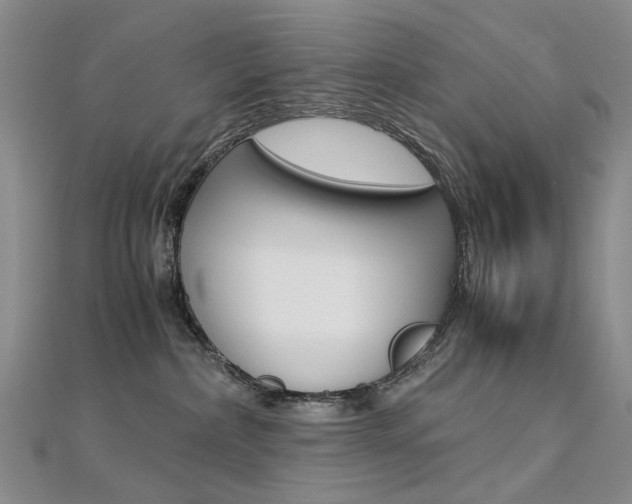 X0000112170236200908071006